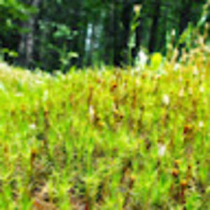 Meet your Posher, Ben